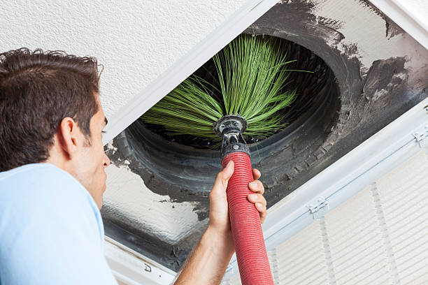 Best Best Air Duct Cleaning Company  in Delta Junction, AK